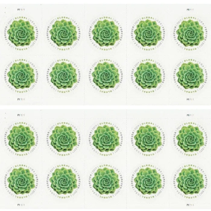 2017 Global Green Succulent